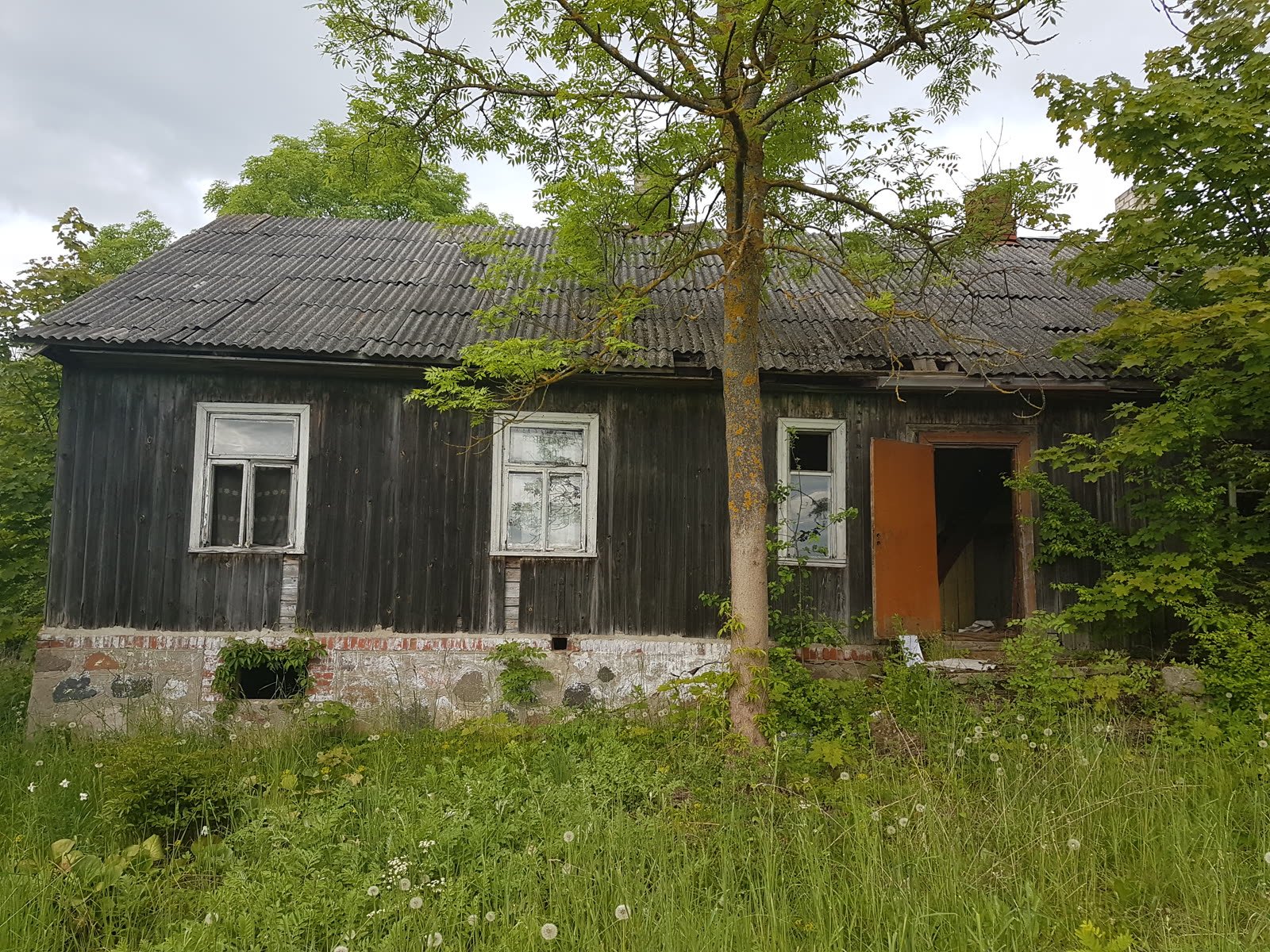 Vykstantys darbai teritorijoje