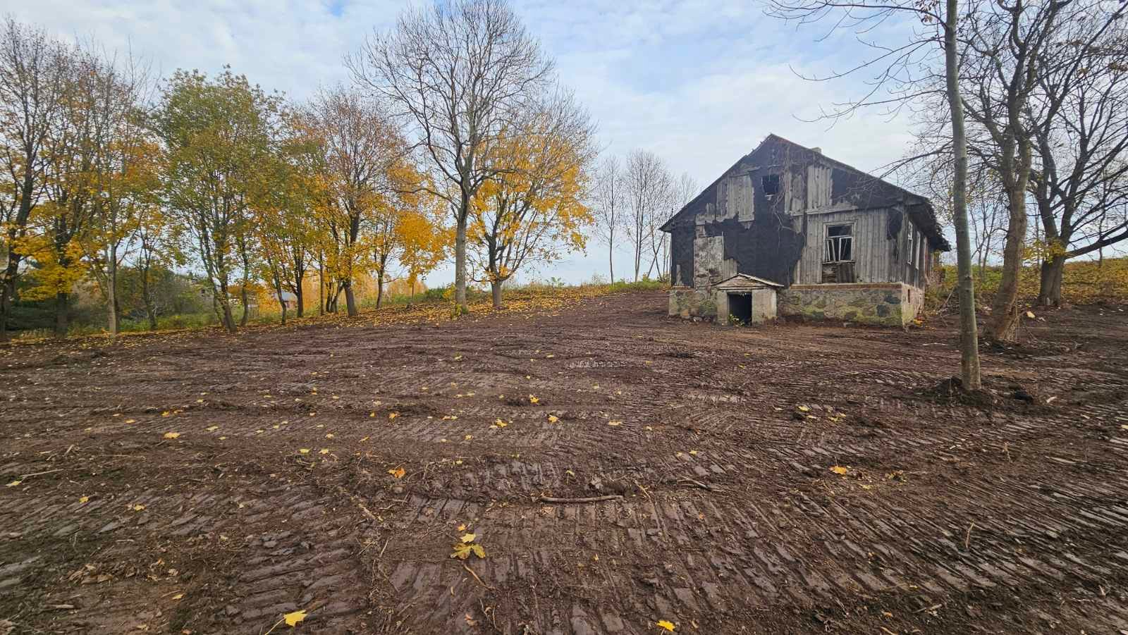 Vykstantys darbai teritorijoje